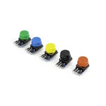 Button Light Touch Switch Module | High-Quality Tactile Switch for Smart Home Automation in Qatar 