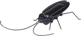 Solar Power Energy Educational Black Cockroach