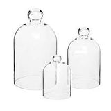 Bell Jar 120mmx180mm (India) | High-Quality Glass Bell Jar for Scientific Experiments and Displays in Qatar 