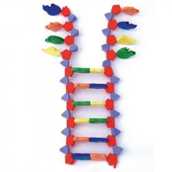 DNA Model- 22 Layers